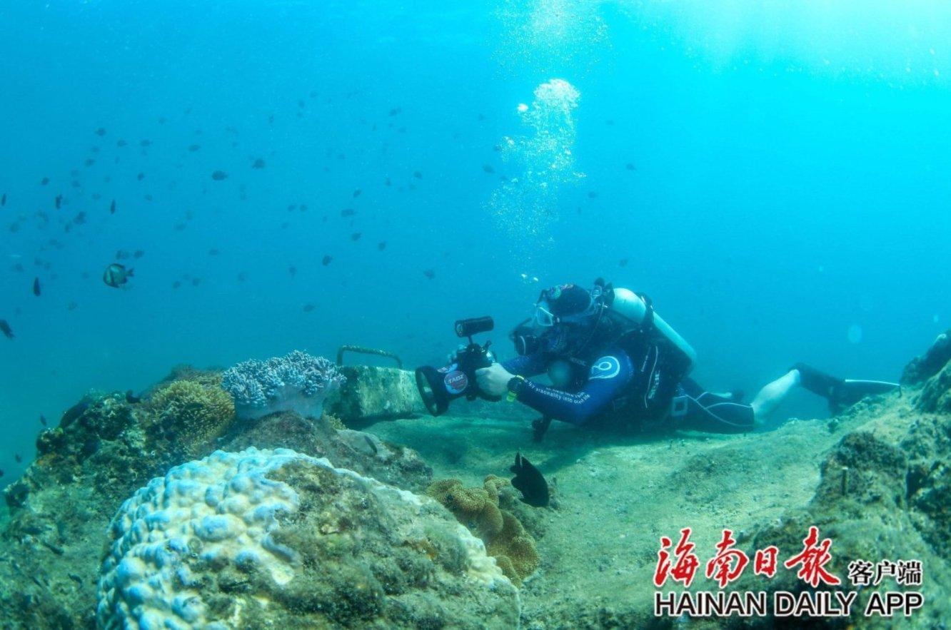 拯救自行车冠军