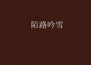 巧虎足球传送门